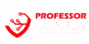 Professor IT Solutions